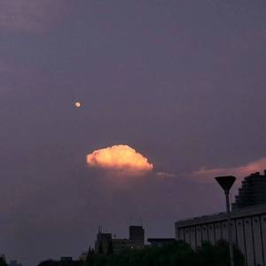 悠悠资源AV男人免费站
