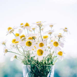 悠悠资源AV男人免费站
